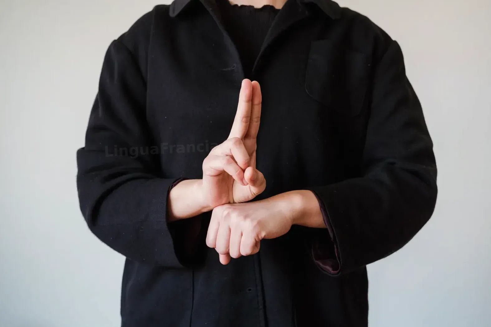 LinguaFrancia